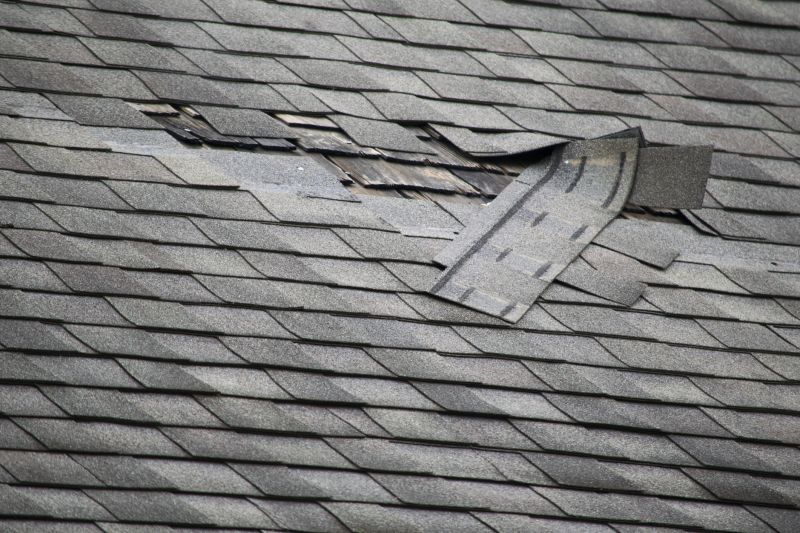 Roof Repair Process